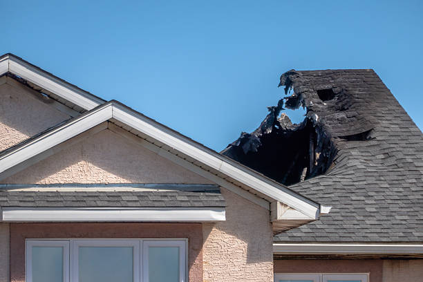 Top rated local Fire Damage Removal specialists in Hightstown, NJ